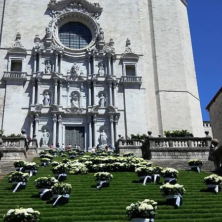 Apg Mercaders 6 Appartement