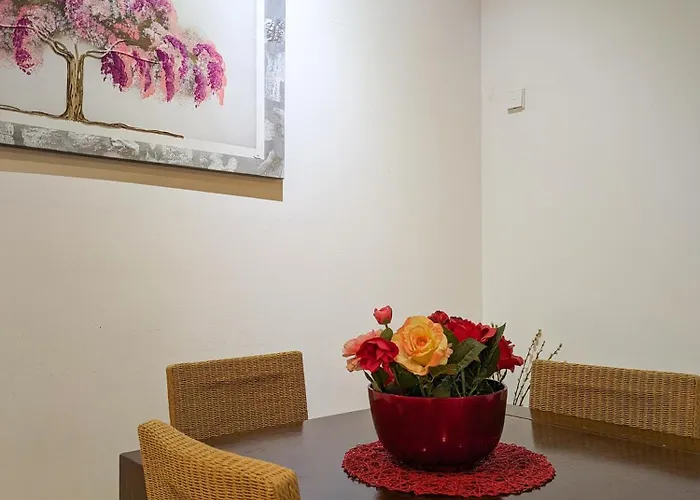 Apg Mercaders 6 * Girona